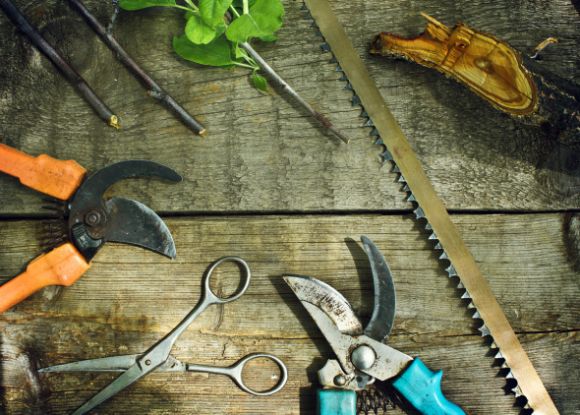 depositphotos 46266241 original small iron gardener