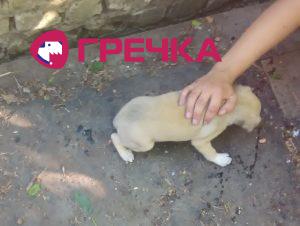 IMG 20190611 175959