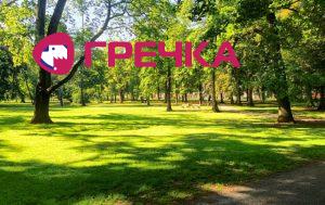 park