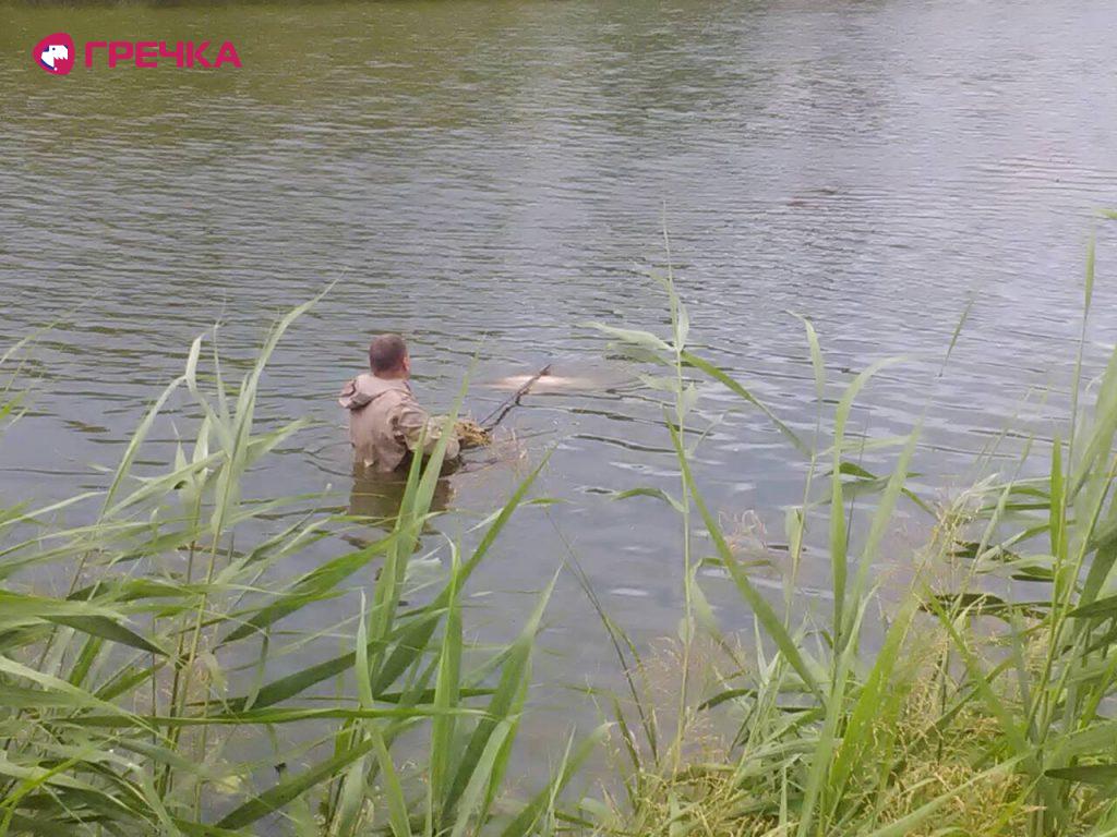 v