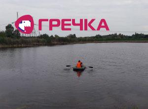 изображение viber