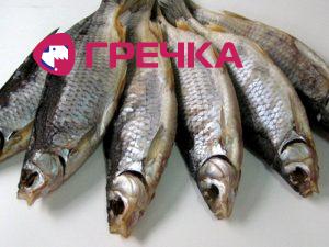 bf1e20a4462b71e3cc4cece2a8c96ac8 L