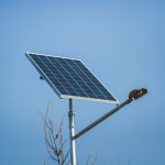 street light 002
