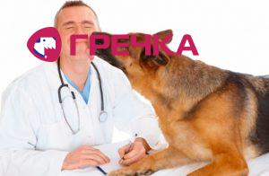 ветеринар