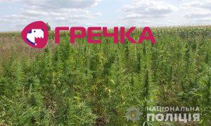 2 10