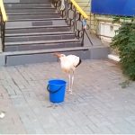 5695