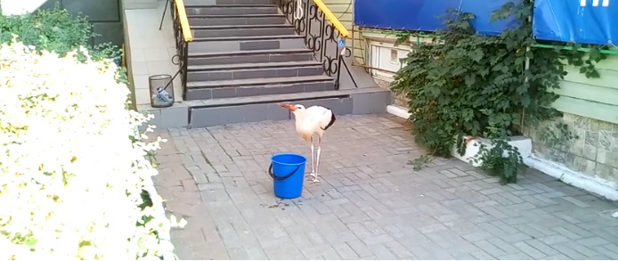 5695