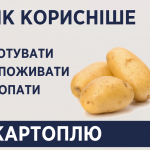 69800854 2420747488209804 3801892590719074304 n