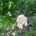 IMG 20180516 134116