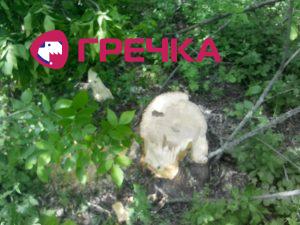 IMG 20180516 134116
