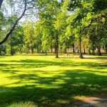 park