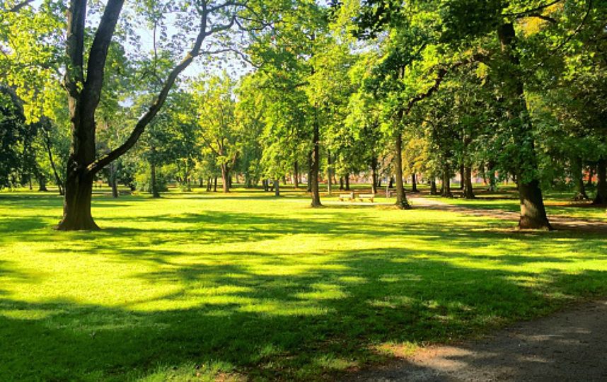 park