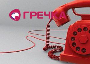 telefon 24 1 article picture2