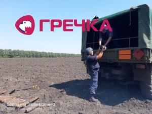 изображение viber 2019 08 13 22 27 27