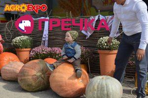 гарбуз1