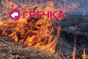 1501771098 igor melika chomu ne mozhna vipalyuvati suxu travu 1