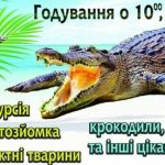 k5femc iwbonfxs5i4fhrjxy2eubar3cbe6hwng
