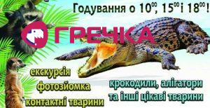 k5femc iwbonfxs5i4fhrjxy2eubar3cbe6hwng