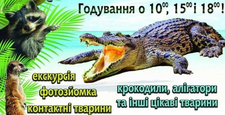 k5femc iwbonfxs5i4fhrjxy2eubar3cbe6hwng