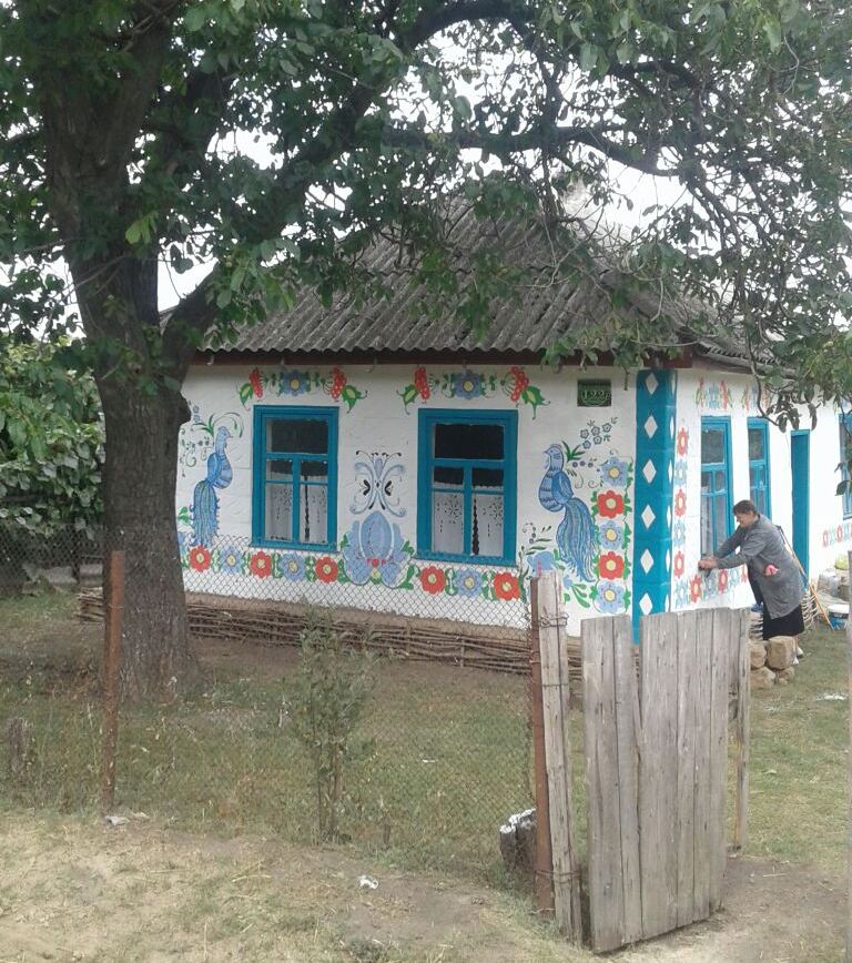 pom1