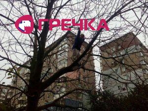 д1