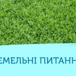 1560507682 kartinki 1