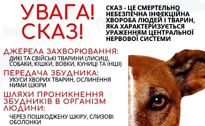 skaz