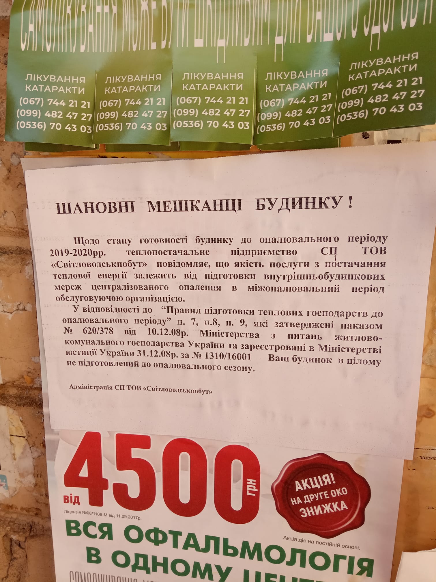 75250848 2619036191499452 5474478041193250816 o