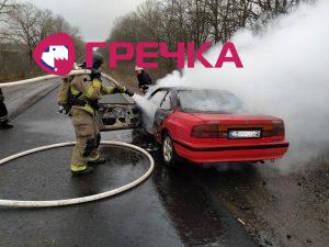 IMG 20191104 083018