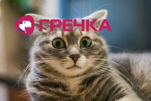 vushanke.ru