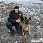09 12 19 rozbij sobaka ЗМІ