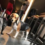 uxaOcx9qvksgf3snedhuvw article