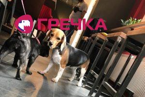 uxaOcx9qvksgf3snedhuvw article