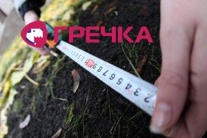 zemlya