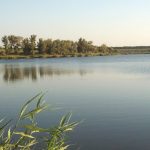 Ставок Червоний Маяк