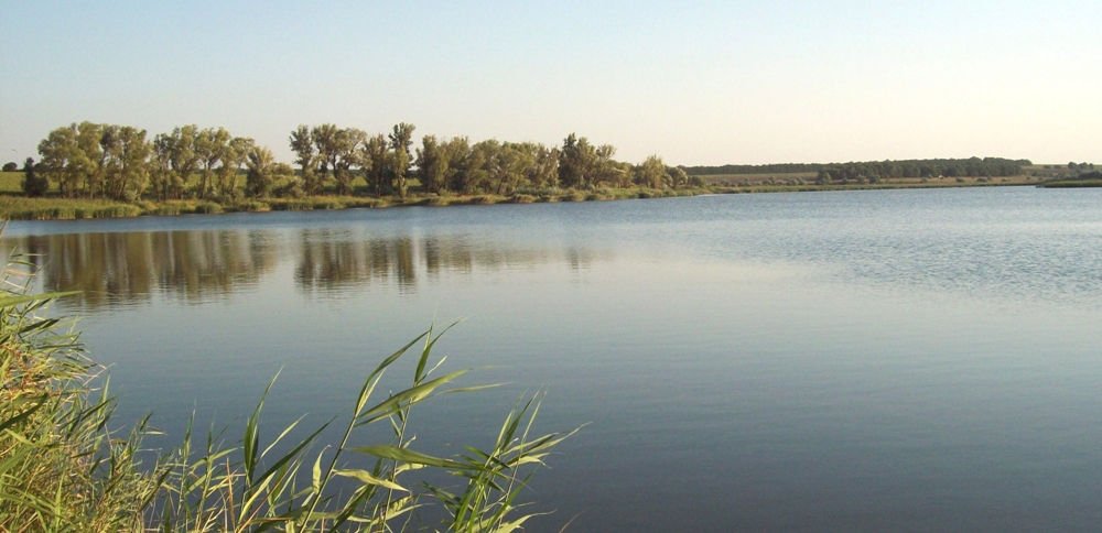 Ставок Червоний Маяк