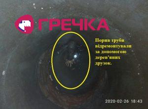 vodok