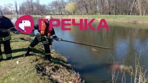 утопл 12 03 20 3
