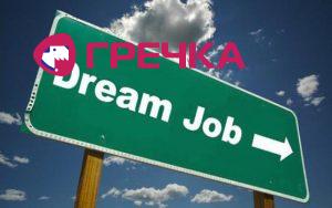 dream job64534