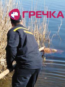 Потопельн Олександрійське