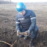 изображение viber 2020 03 11 16 23 18