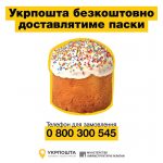 92461123 2919325094824010 6864724225802895360 n