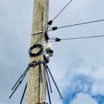 a651abb4ebcc07e0de8e4e4c51ee3b09