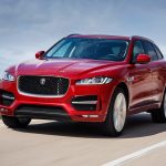 redfpace 001