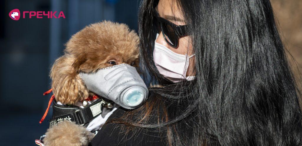 20200302213812 4592