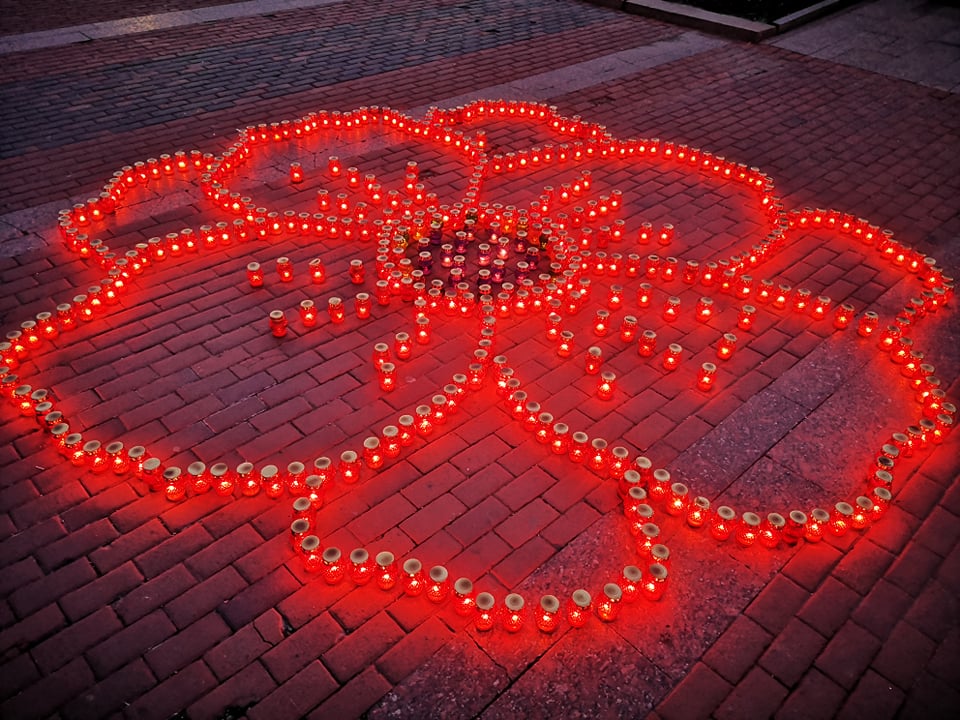 96247087 1096126110742934 7378302503659503616 n