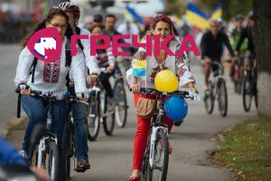 mg 8529.jpg.pagespeed.ce .guzhknb5dc 737x492