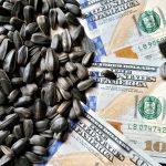 sunflower seeds 4349202 1280