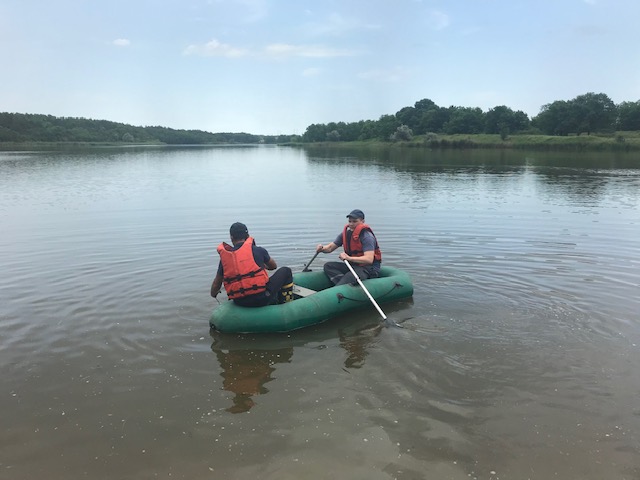 IMG 2018