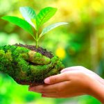 Mercado libre lanza categoria Eco Friendly